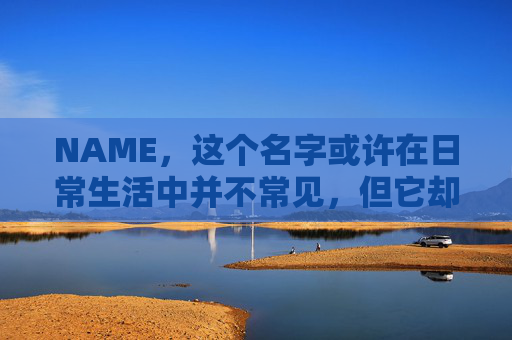 NAME，这个名字或许在日常生活中并不常见，但它却在某些领域里扮演着重要的角色。今天，让我们一起来探索这个名字背后的故事和意义