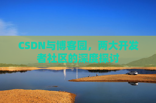 CSDN与博客园，两大开发者社区的深度探讨
